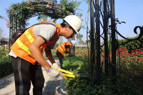 盛夏果實(shí),不負(fù)光陰 人文園林綠化施工實(shí)操技能培訓(xùn)圓滿完成