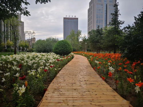 精心實(shí)施園林綠化建設(shè)工程 著力提升市民獲得感幸福感