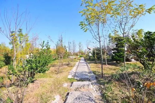 難得一見(jiàn)的園林綠化施工過(guò)程全記錄