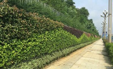 甘肅新時(shí)代園林工程 企業(yè)簡(jiǎn)介