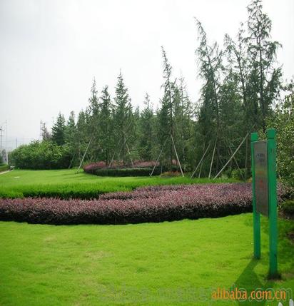 承攬綠化工程、園林施工、園林綠化工程養護