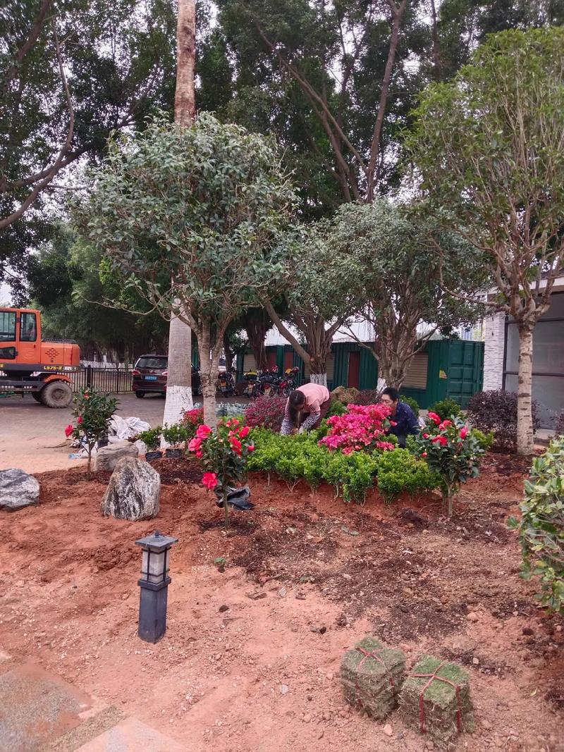 雙輪驅(qū)動城市活力 園林綠化與體育場地設施工程施工要點探析